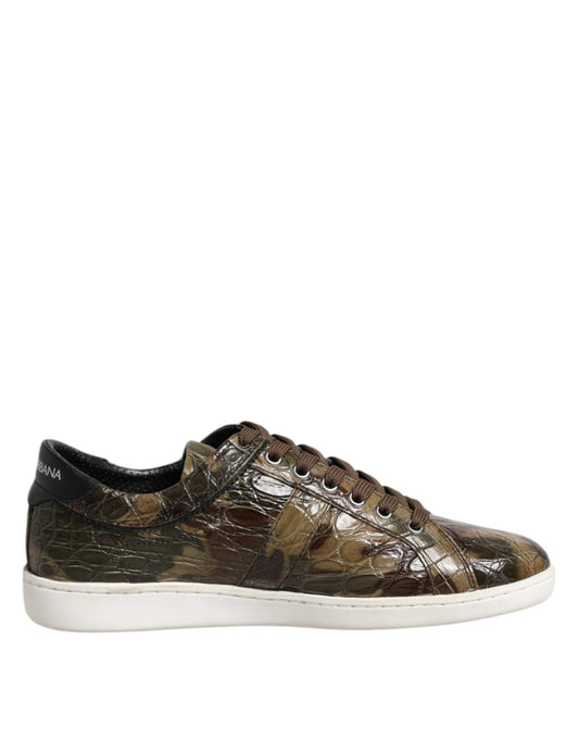 Zapatillas bajas de piel exótica marrón de Dolce &amp; Gabbana