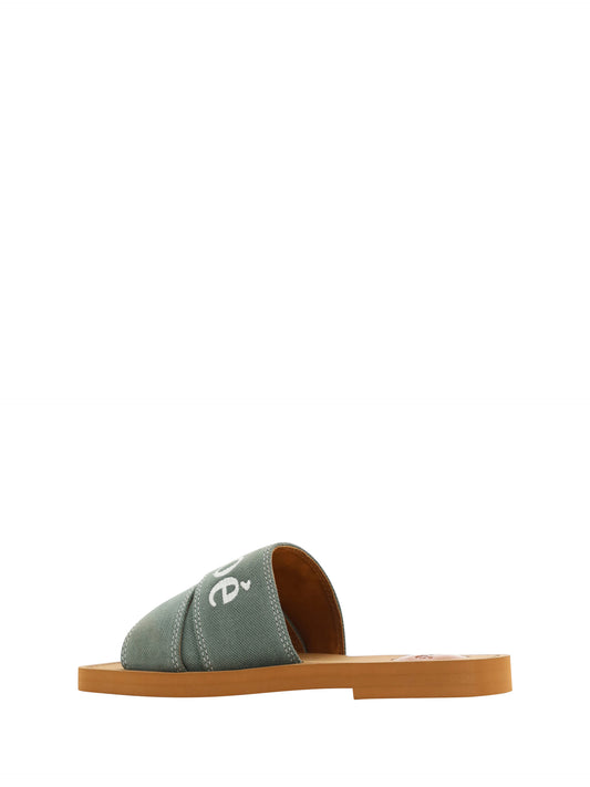 Green and brown flip flops with a strap over the foot