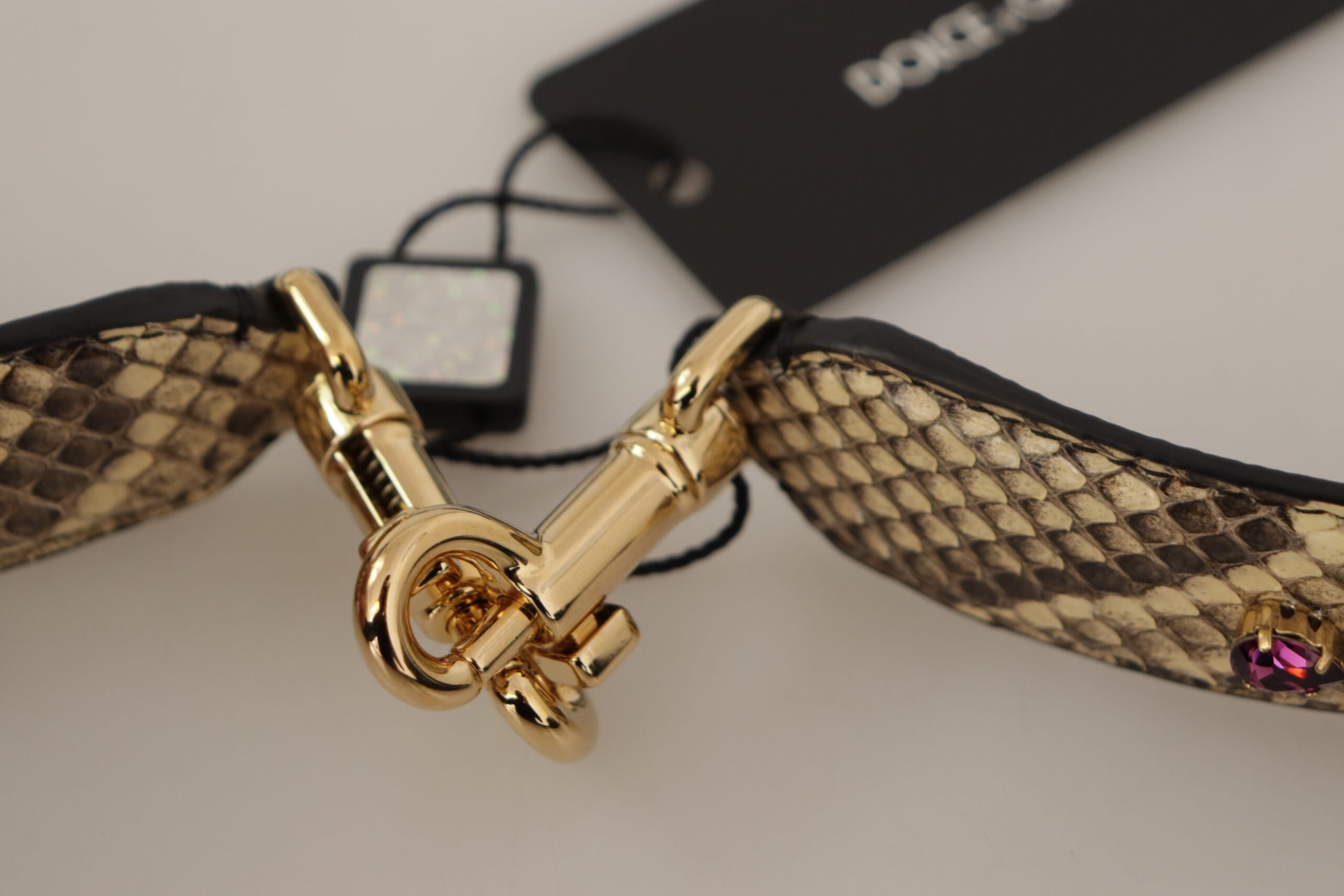 Gold buckle on snake skin belt