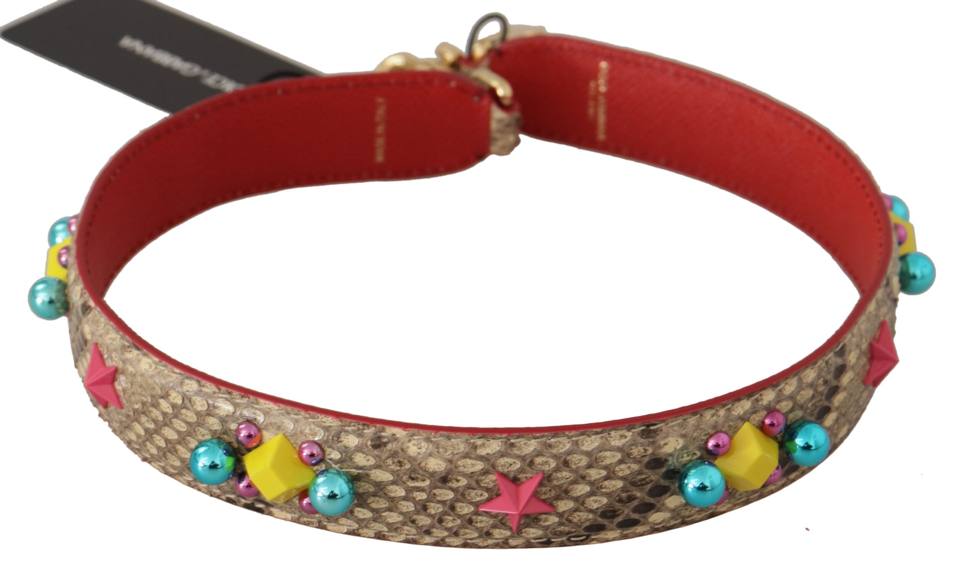 Red collar with gold clasp and embellishments