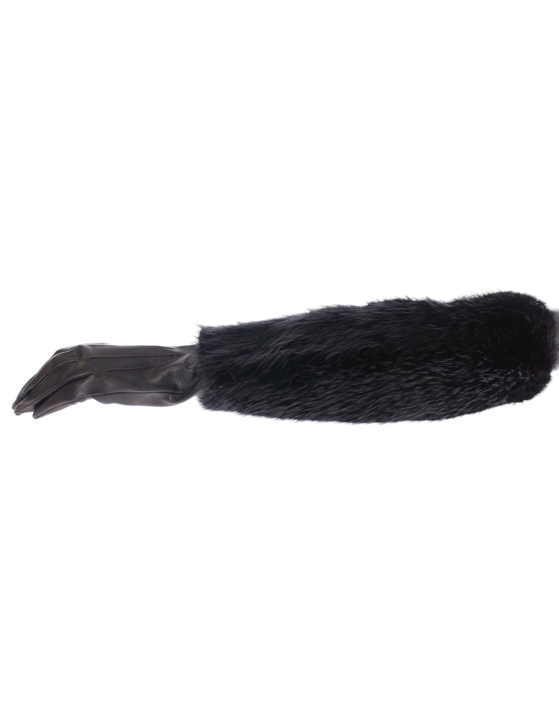 Black feathered object on white background