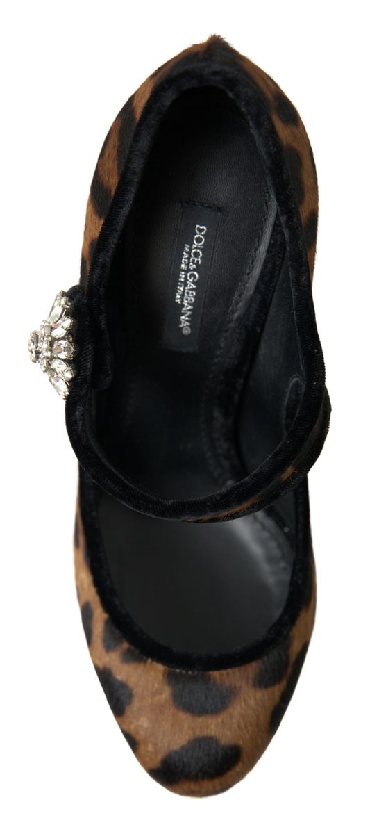 Black and brown suede shoe with bow detail on toe