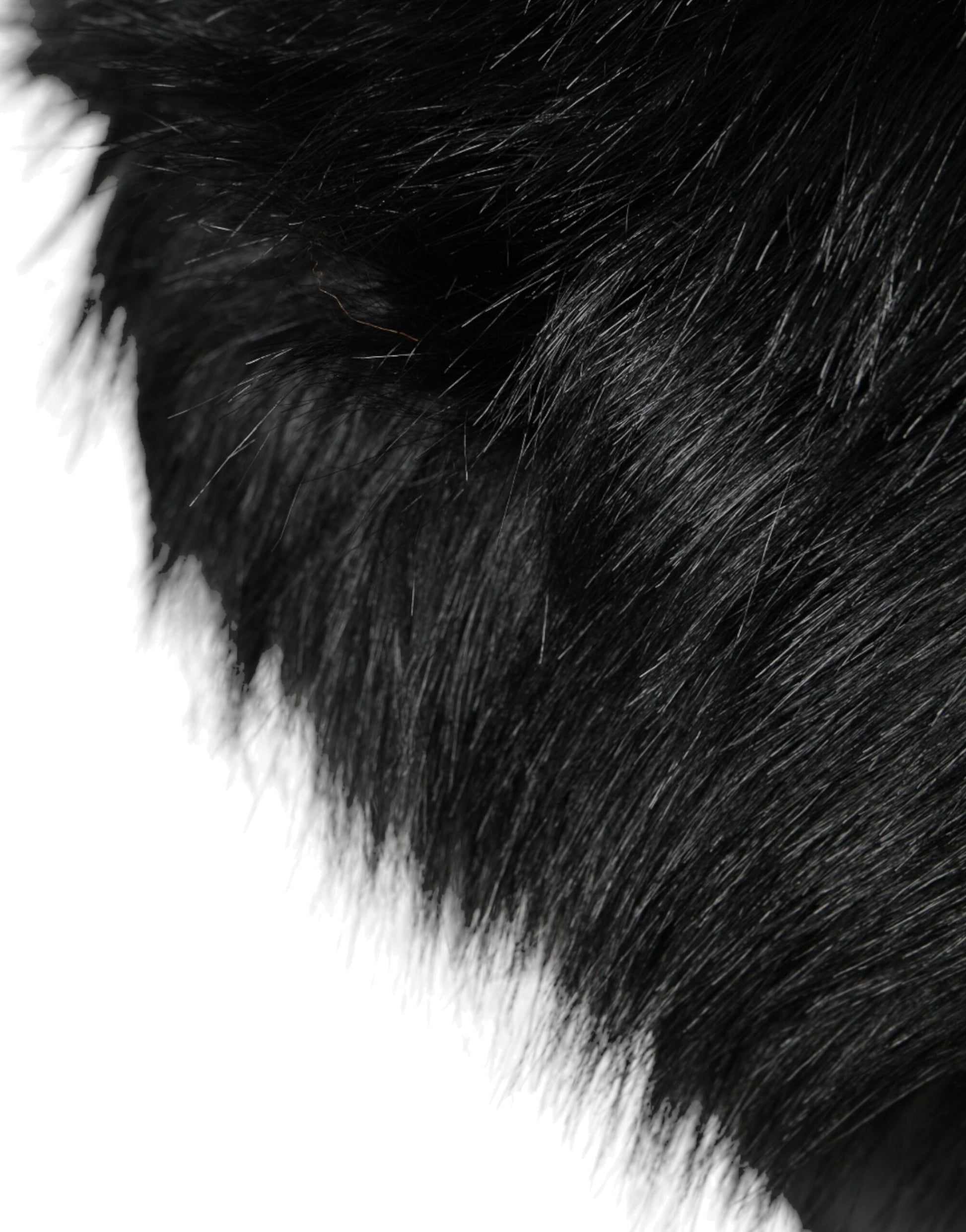 Black fur on animal's back