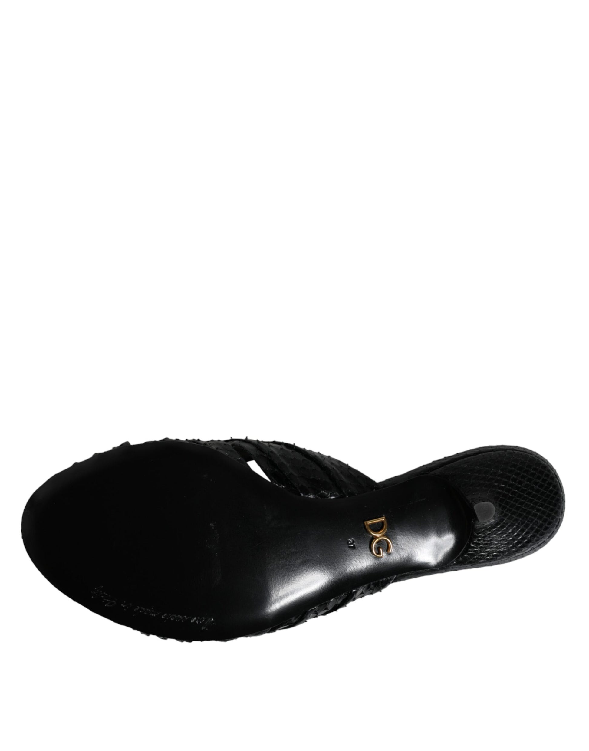 Black leather shoe on white background