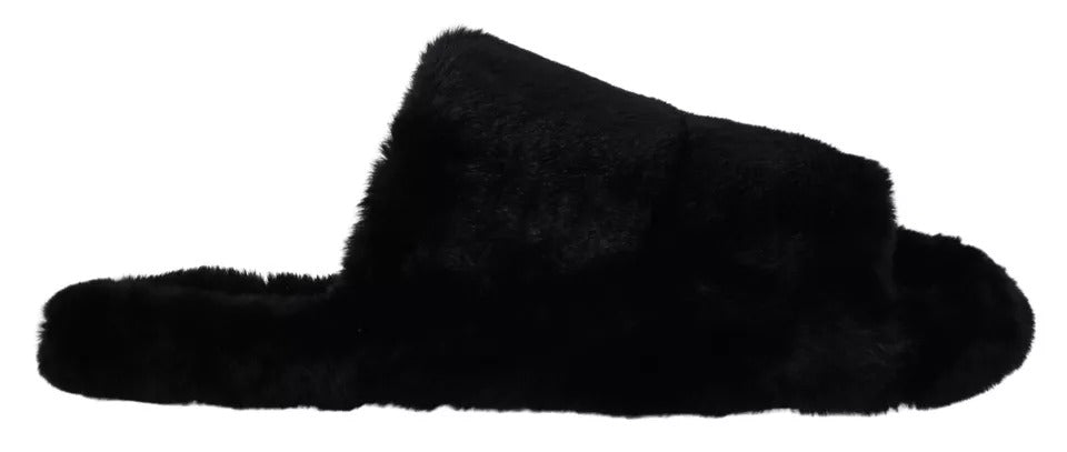 Black shoe on white background
