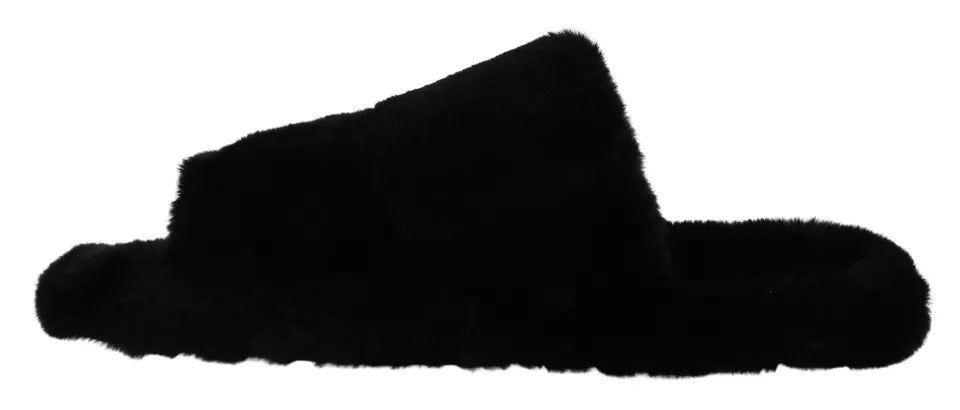 Black shoe on white background