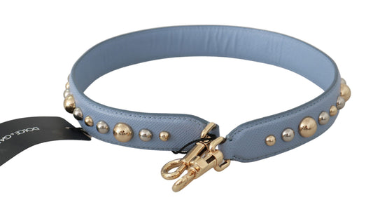 Blue leather dog collar with gold studs and a buckle