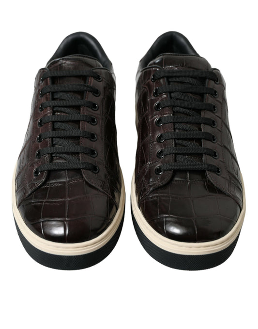 Pair of brown crocodile leather sneakers with white soles