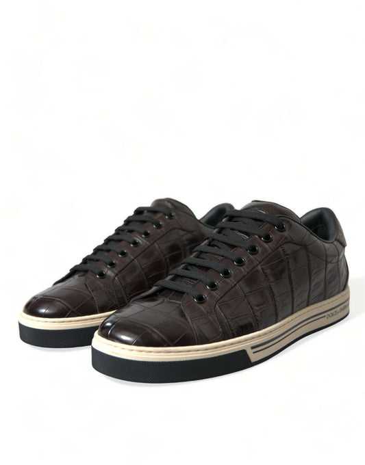 Brown crocodile leather sneakers with white soles, laces and stitching