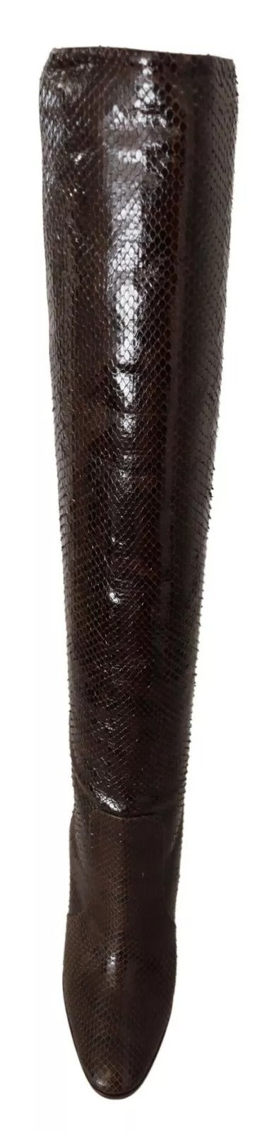 Long brown object with black spots
