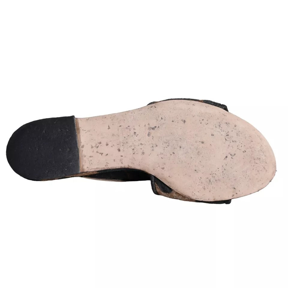 Pair of shoes on a white background