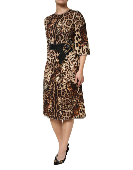 Leopard print midi dress with belt, from Dolce & Gabbana