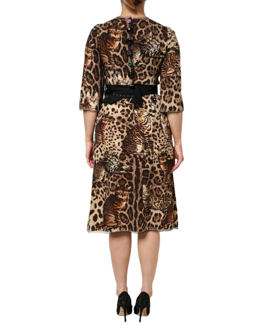 Leopard print midi dress with belt, from Dolce & Gabbana