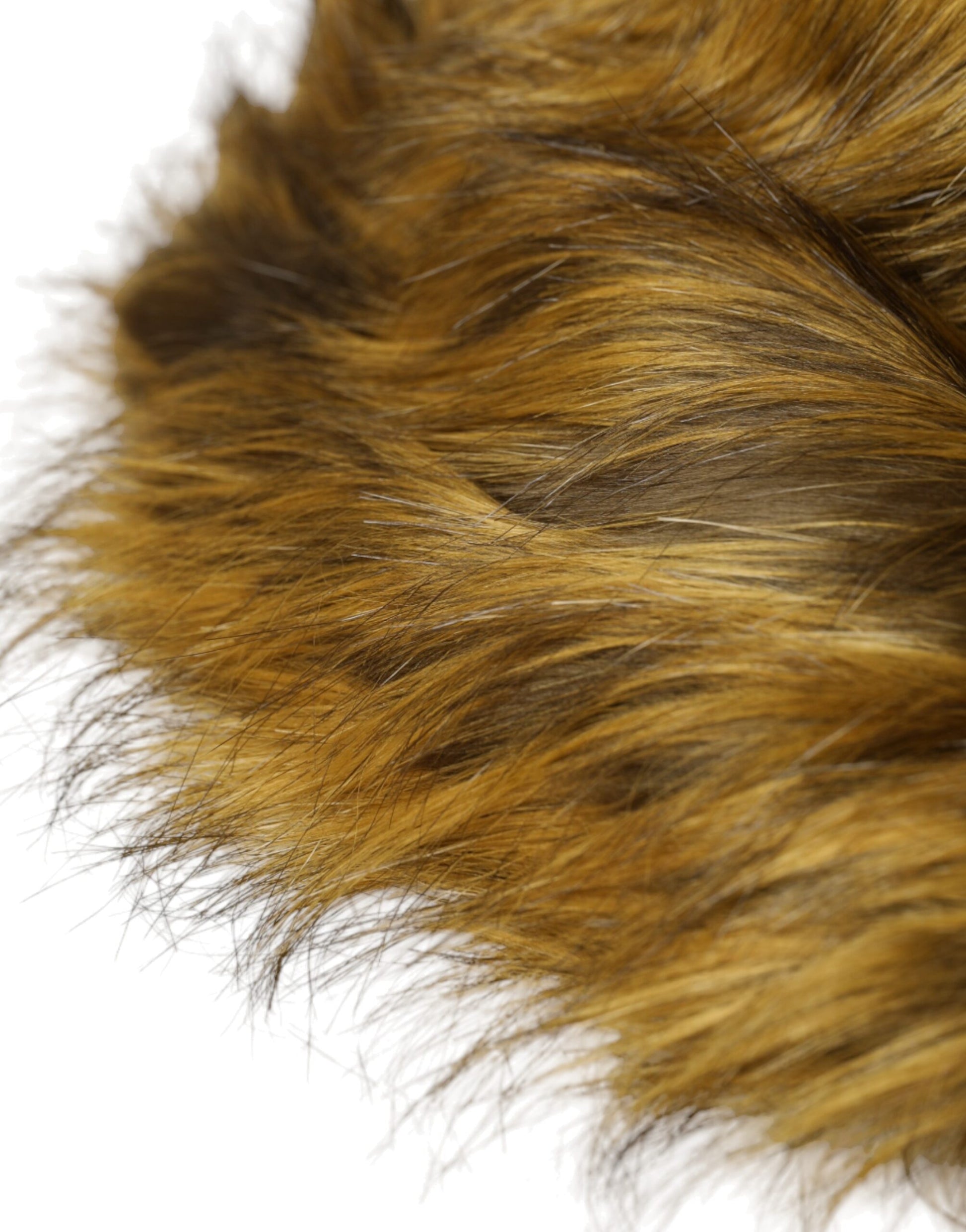 A close-up view of a dog's head with a shaggy fur coat that appears to be golden or light brown in color