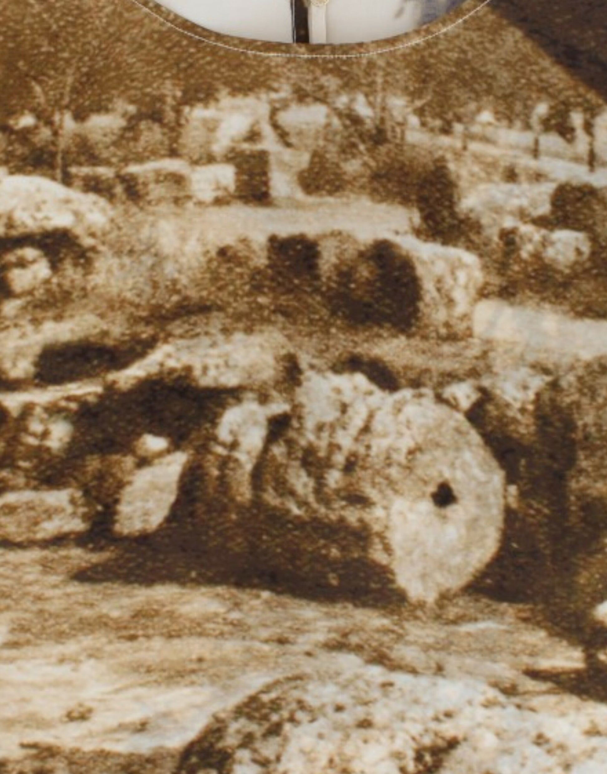 Vintage photograph printed on fabric