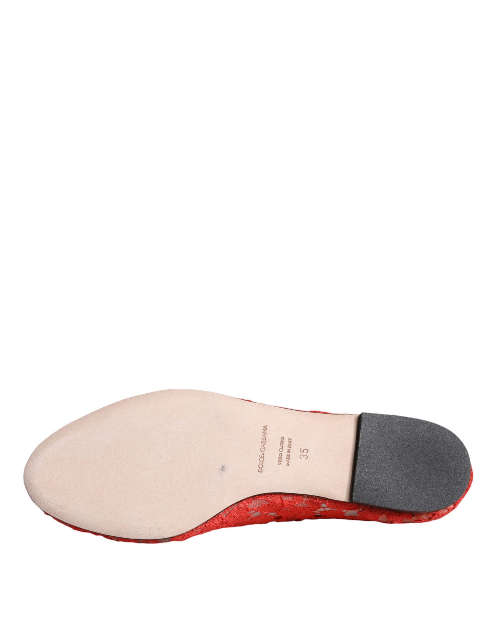 Single shoe on a white background