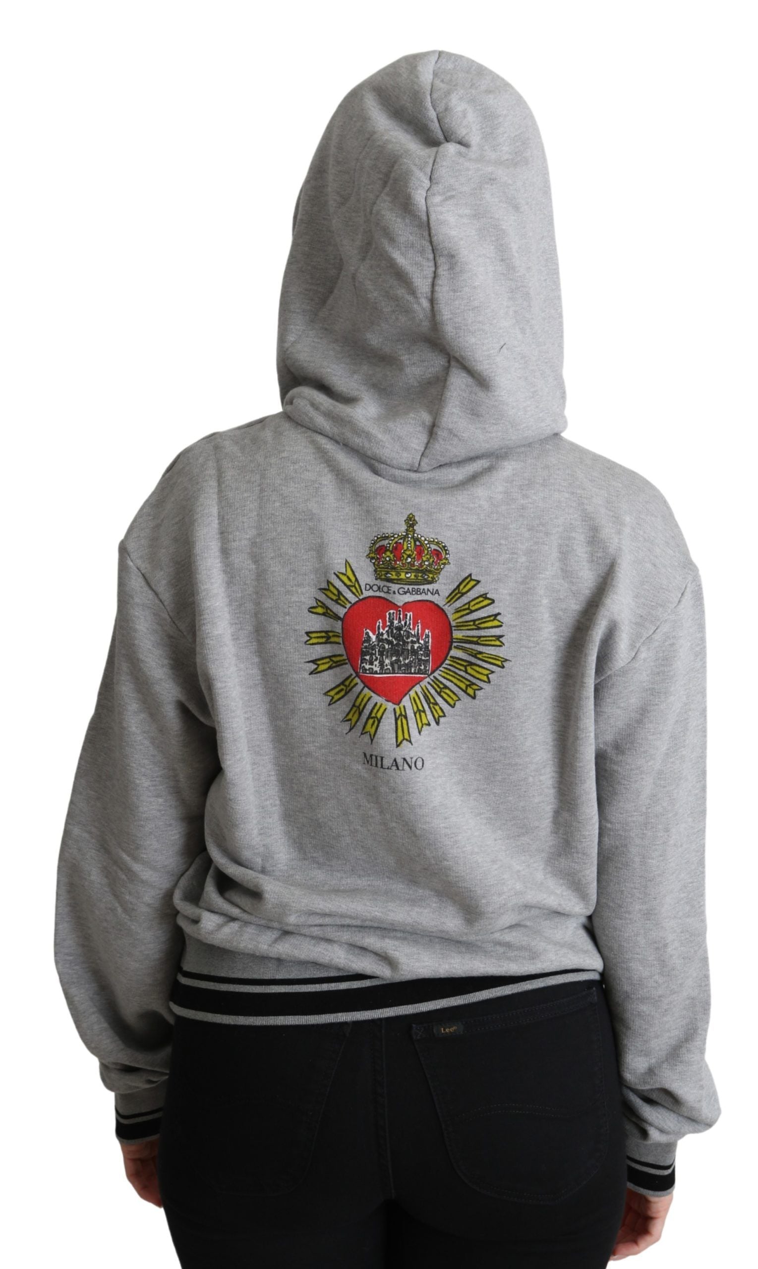 Grey hoodie with emblem on back