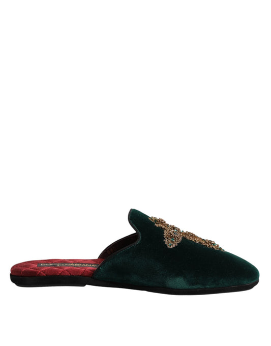 Pair of velvet slippers with gold accents