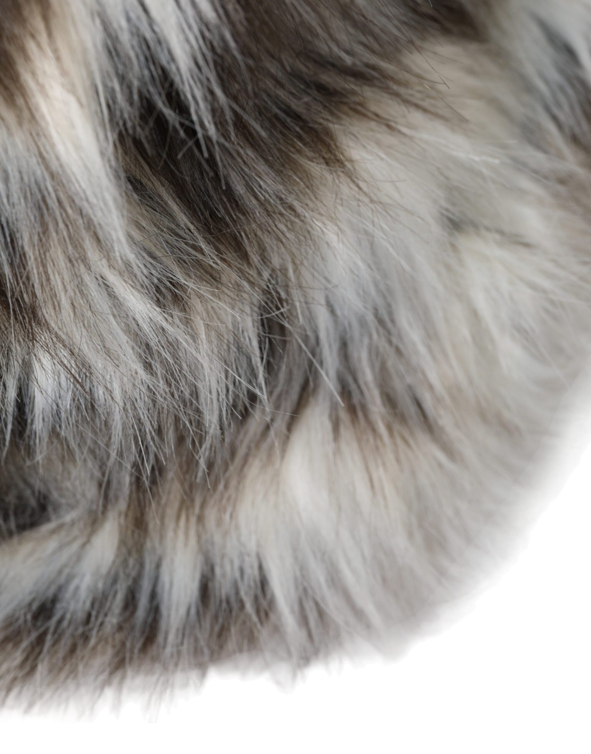 The furry tail of a cat