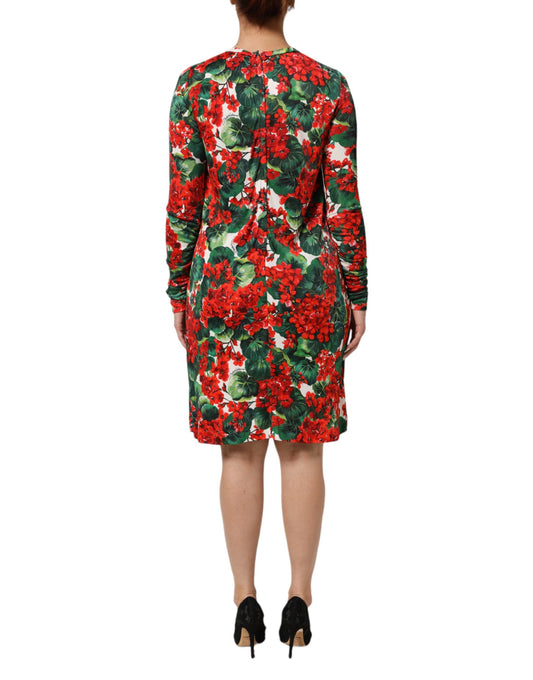 Woman's dress with red flowers on a black background