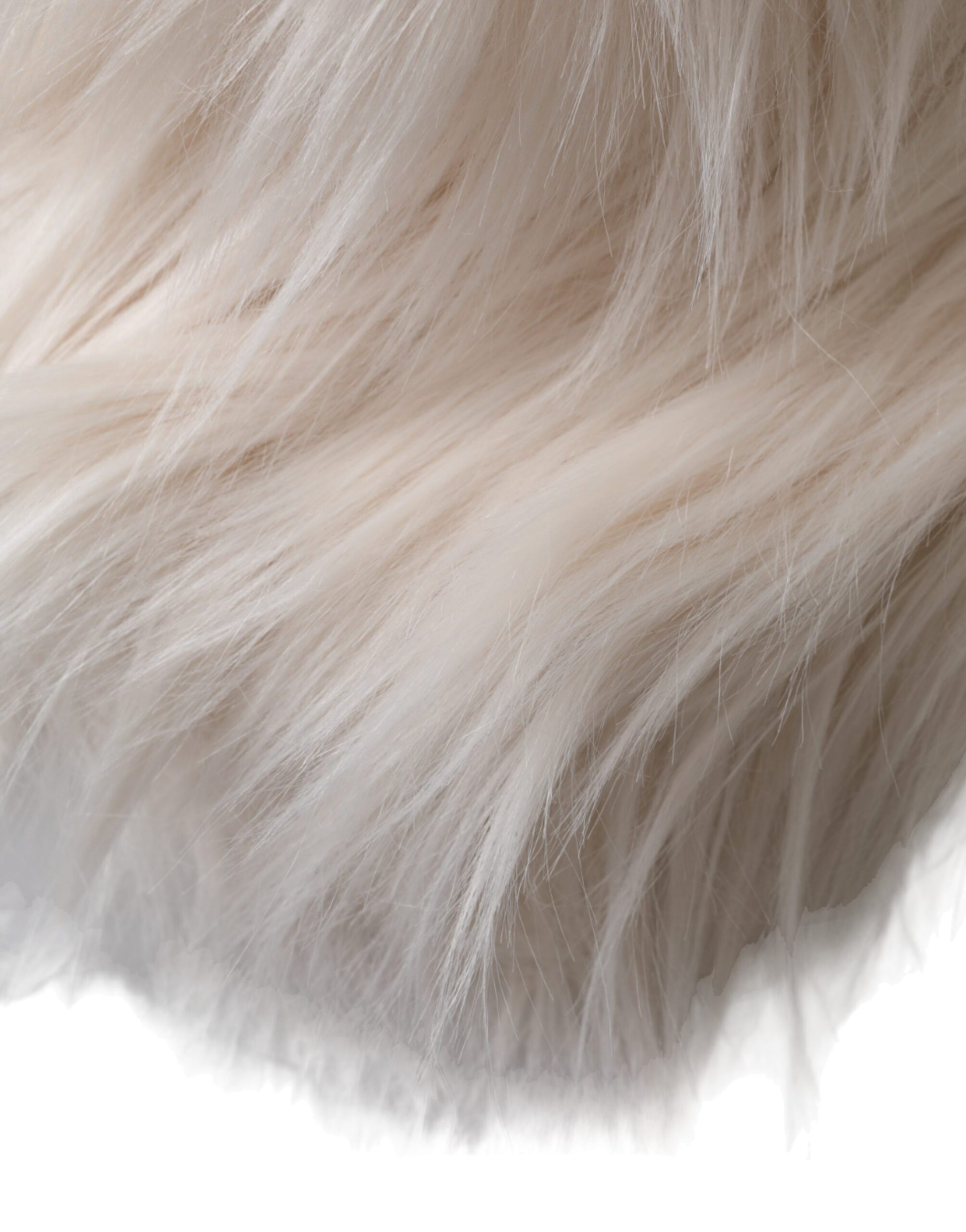 Soft fur on a dog's back
