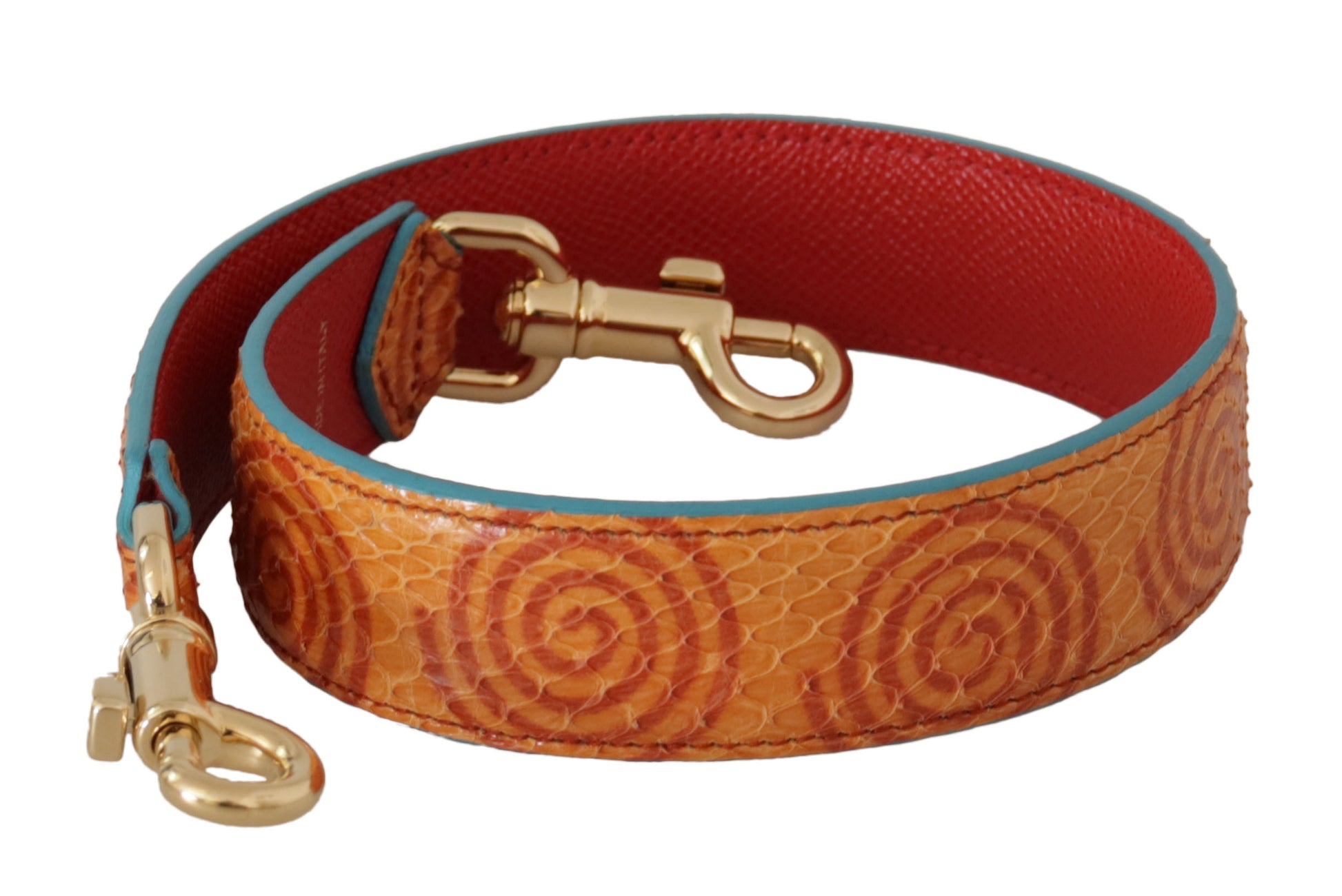 Red leather dog collar with blue trim and gold hardware