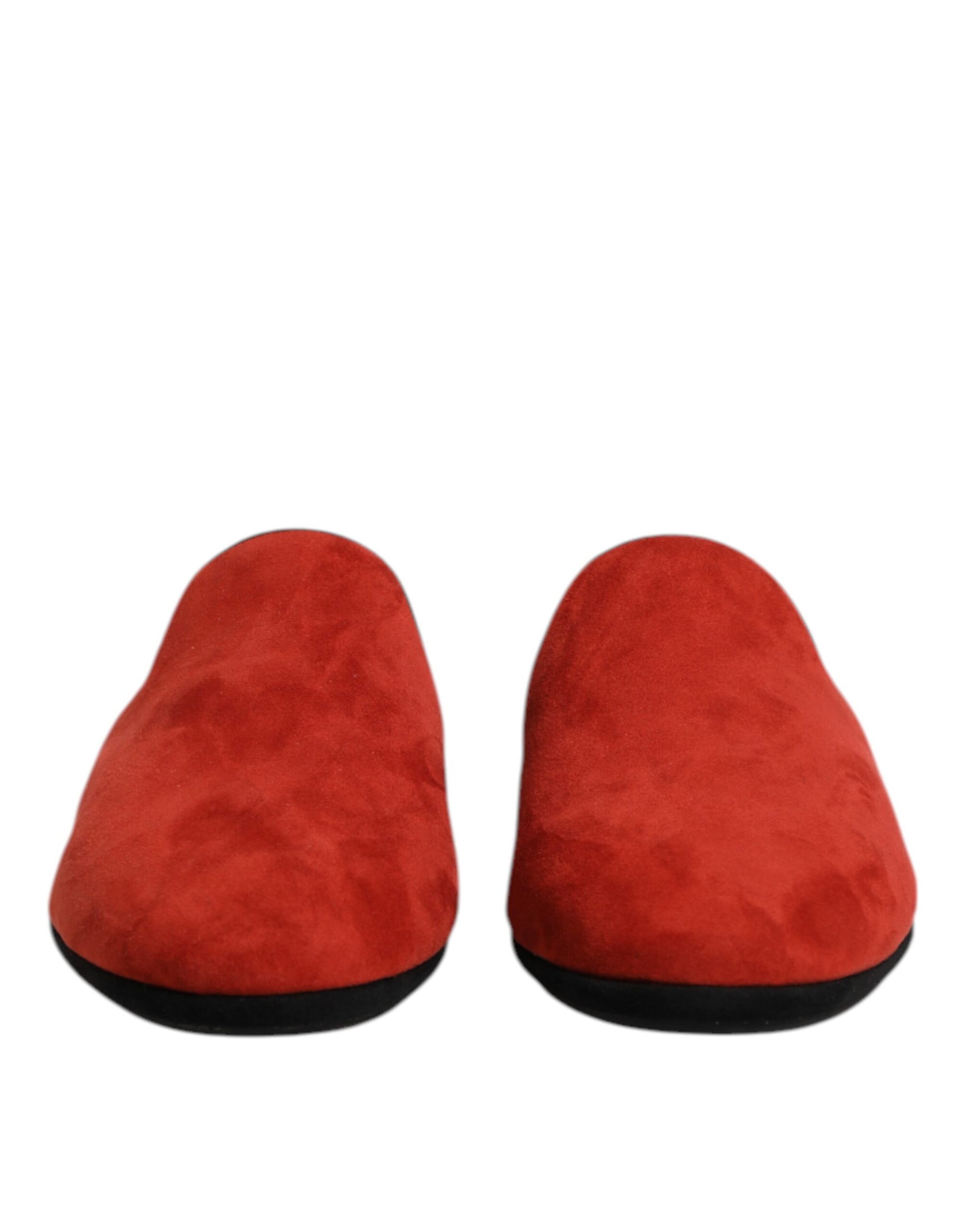 Pair of red slippers