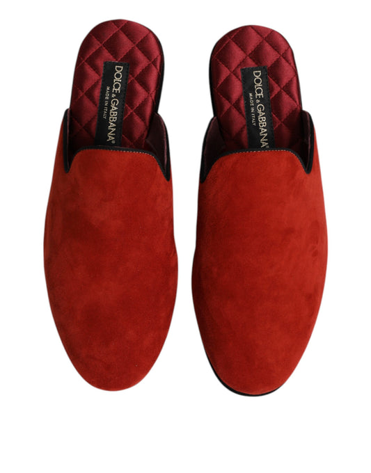 Pair of red velvet slippers