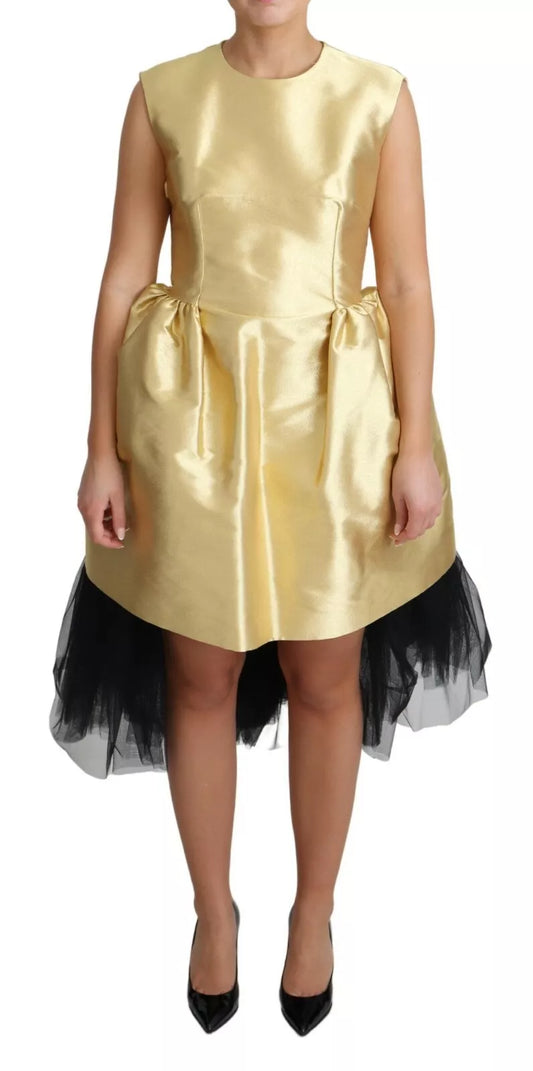 A sleeveless gold tulle dress with a flared skirt and black lace trim