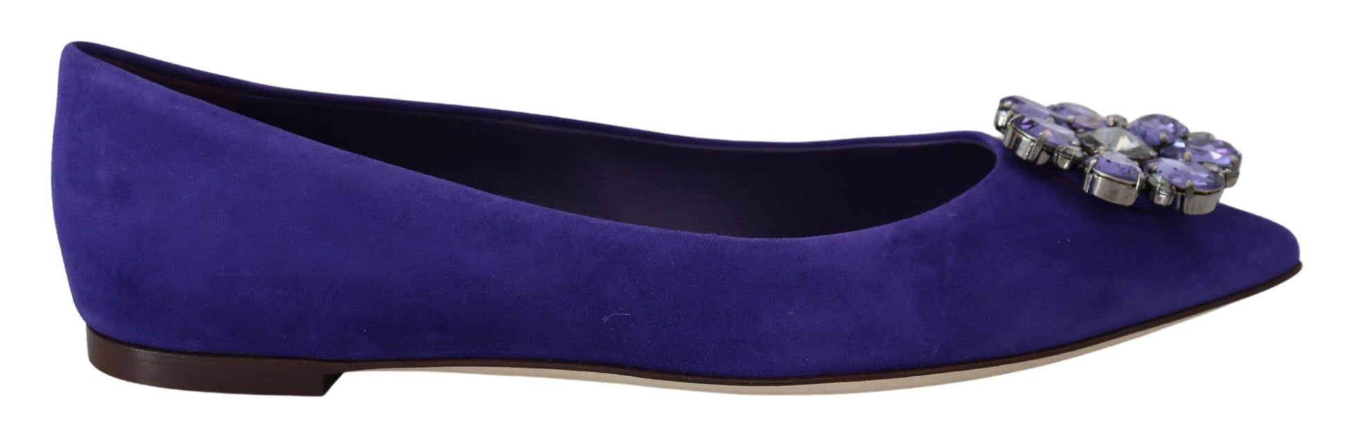 Purple velvet shoe with embellishments and a strap