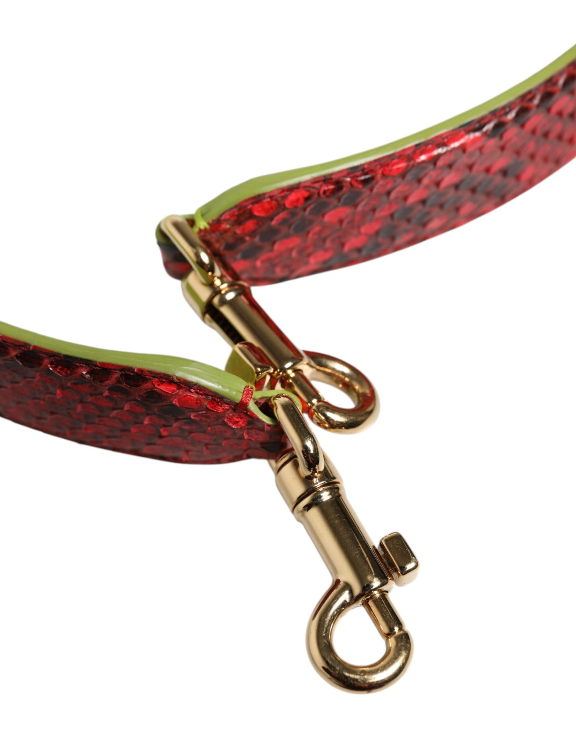 Red and yellow dog leash