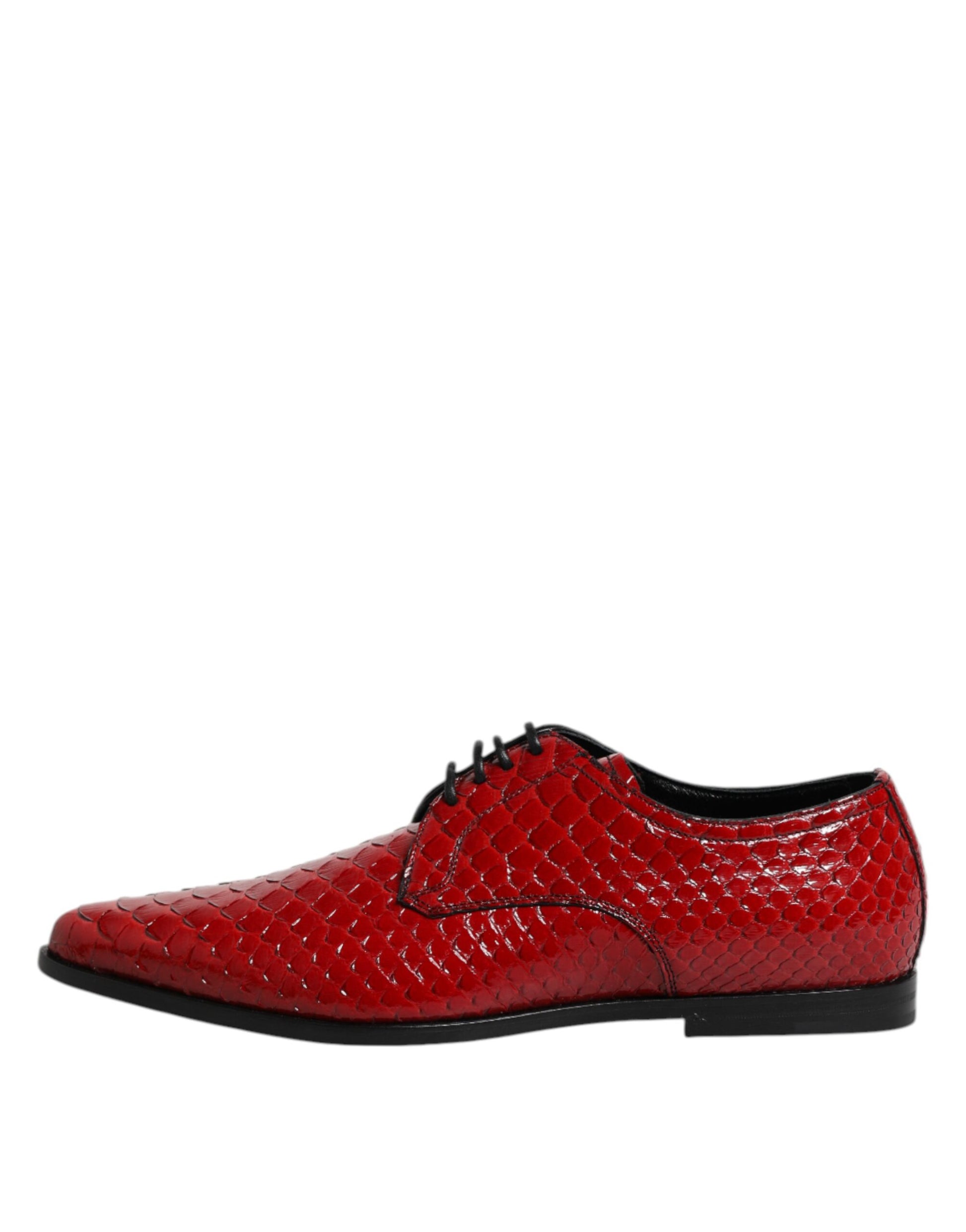Red exotic leather lace up dress derby shoes by Dolce & Gabbana