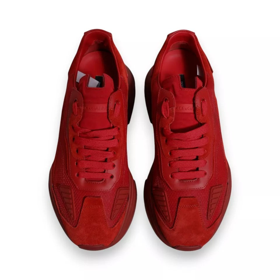 Red sneakers on white background