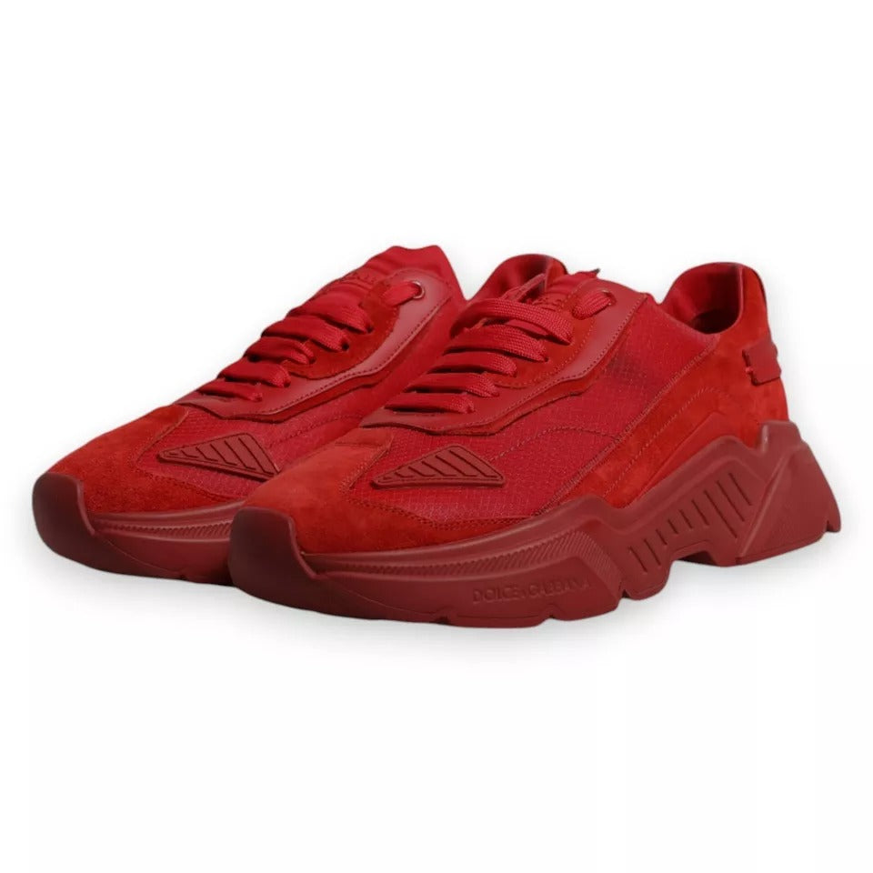 Red sneakers on white background
