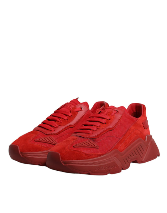 Red sneakers on white background