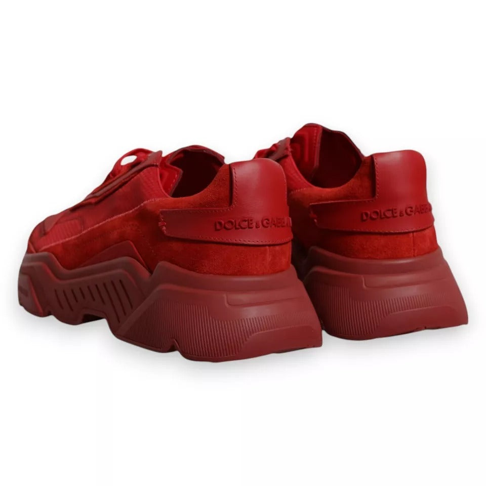 Red sneakers on white background