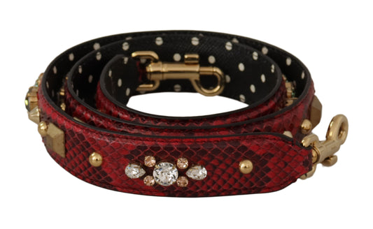 Black and red dog collar with gold accents and sparkling stones
