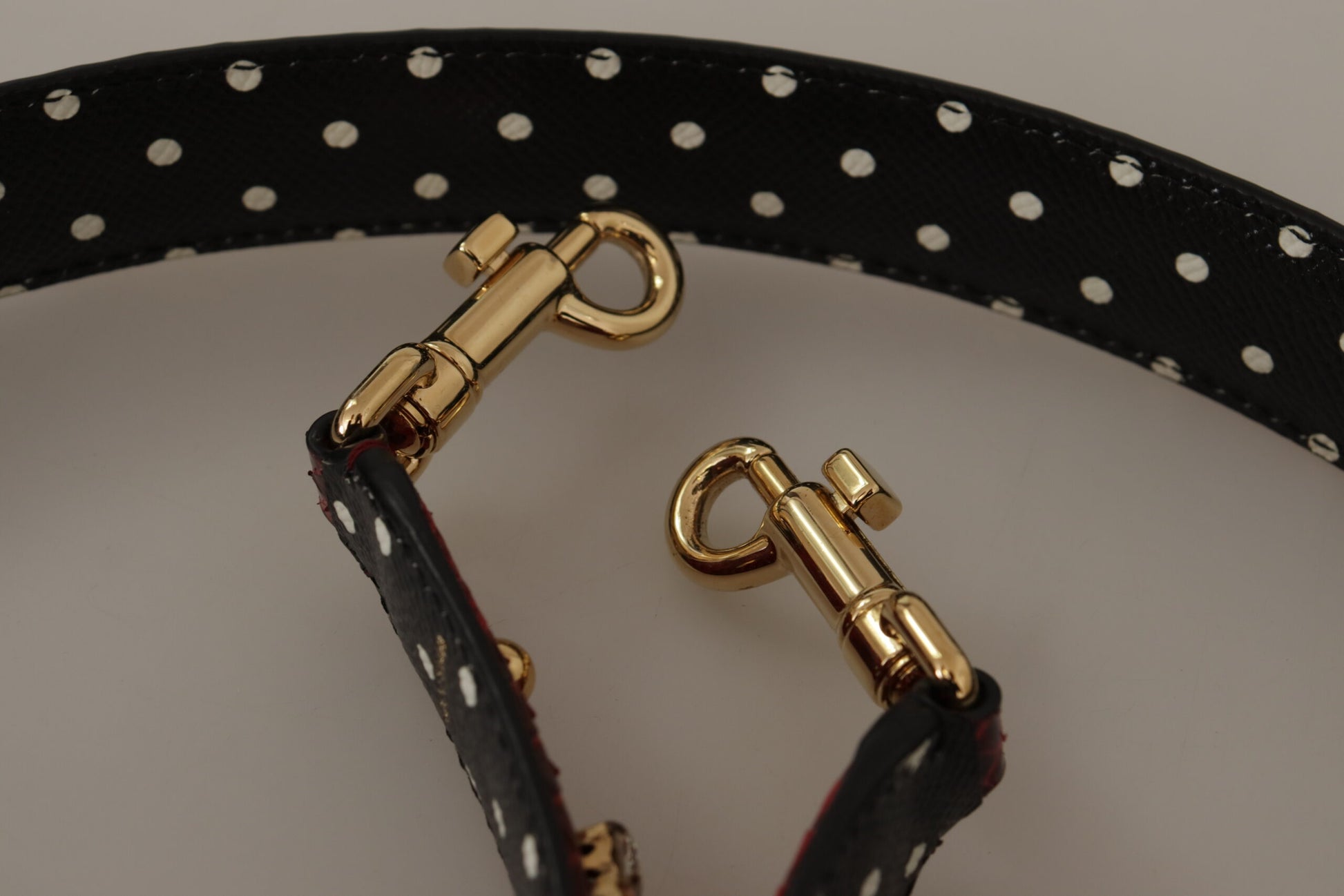 Black leather dog collar with gold buckles