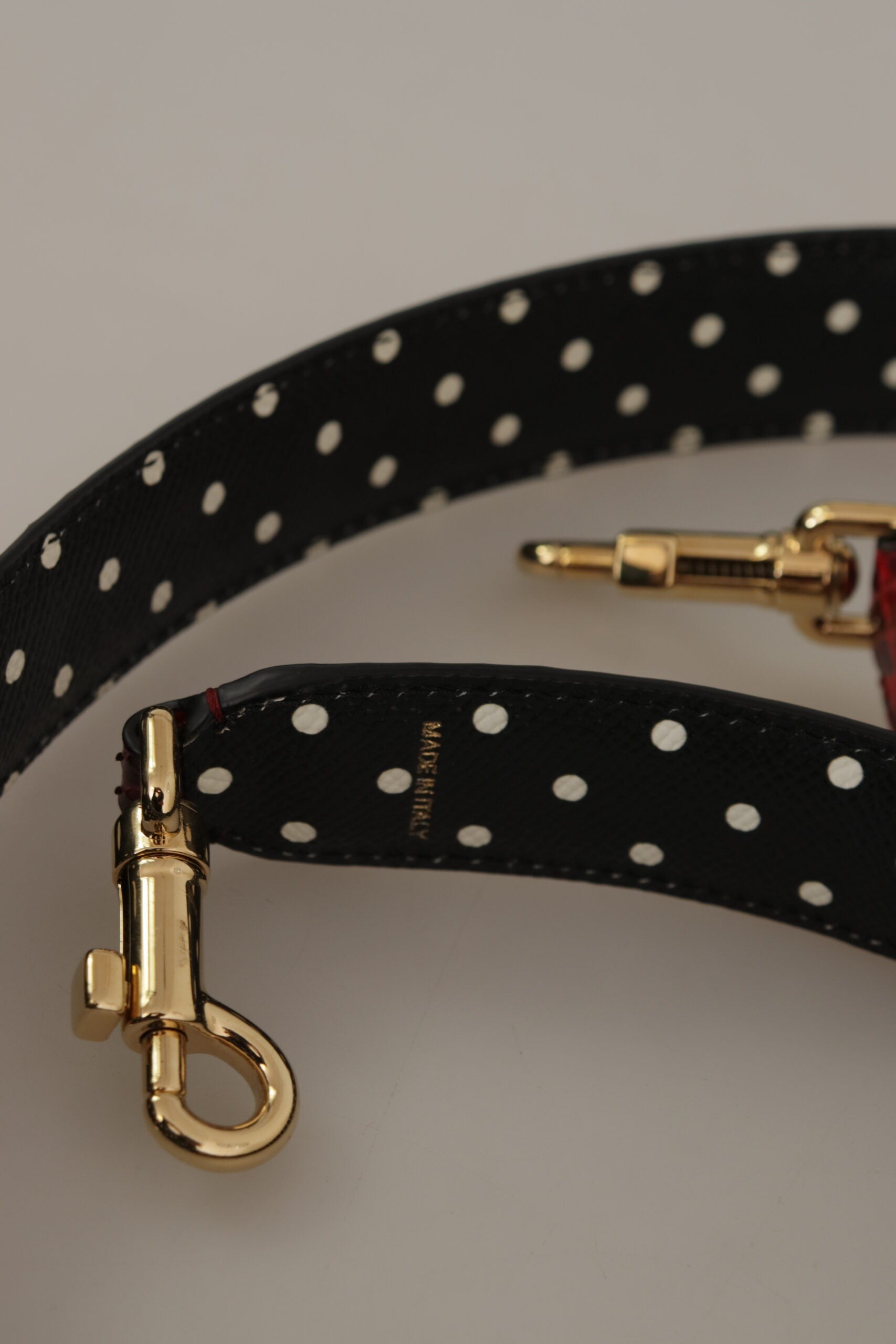 Black leather dog collar with gold hardware