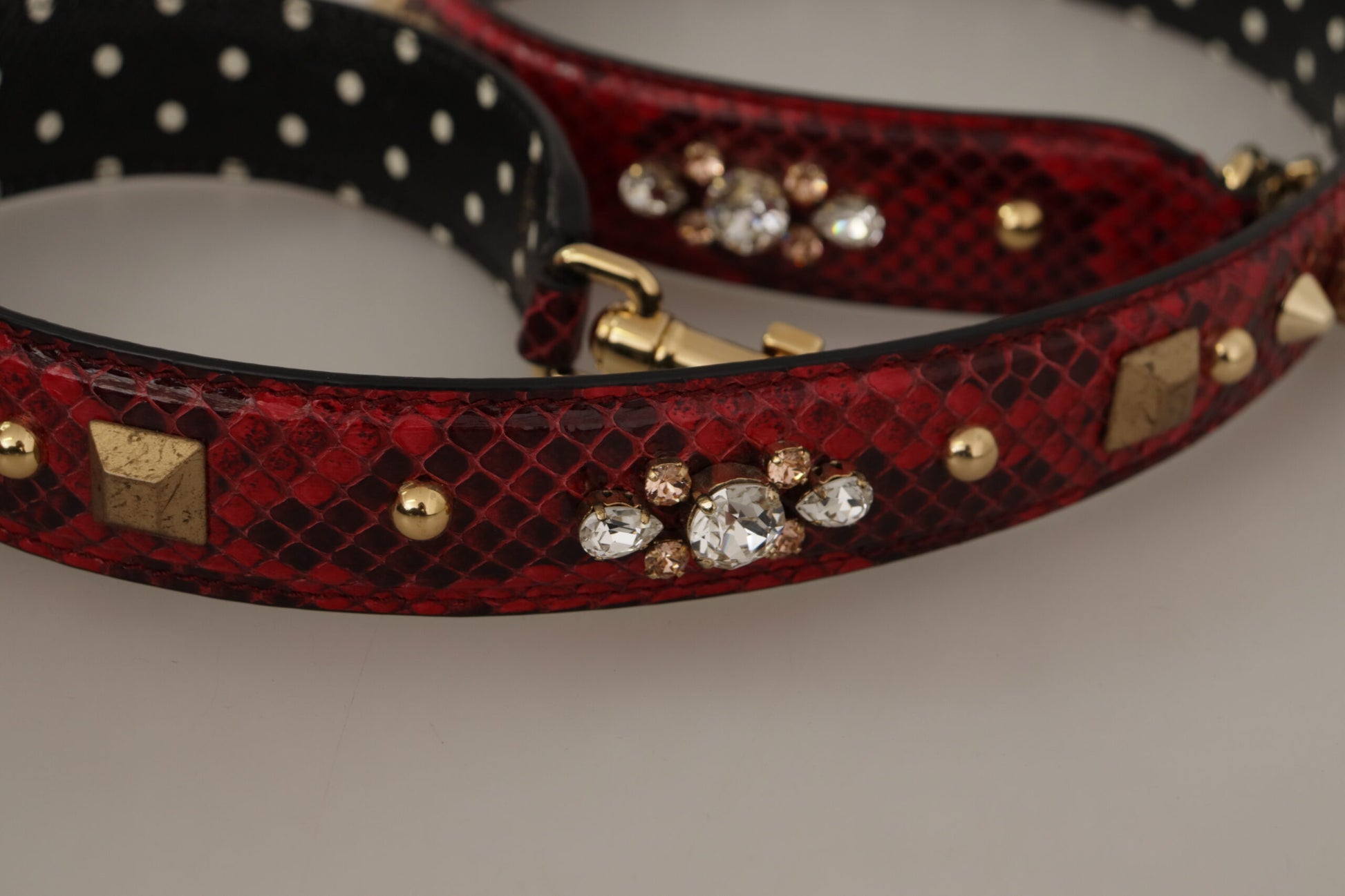 Red snake skin dog collar with gold accents and rhinestones