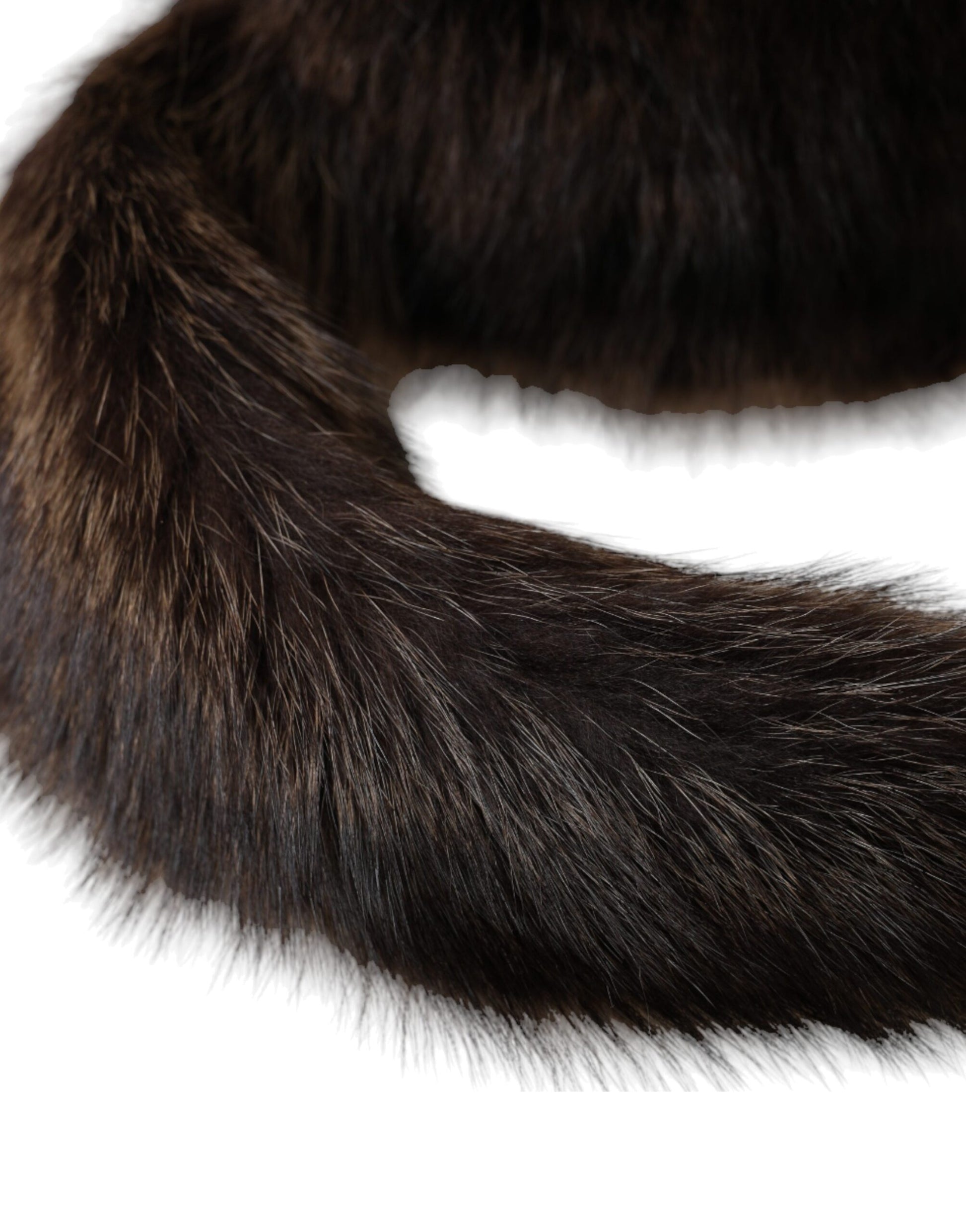 The tail of a furry animal