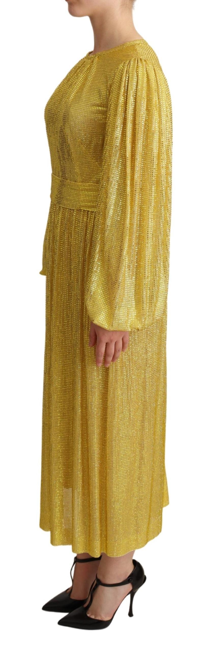 A long yellow dress with crystal mesh detailing and pleats, designed by Dolce & Gabbana