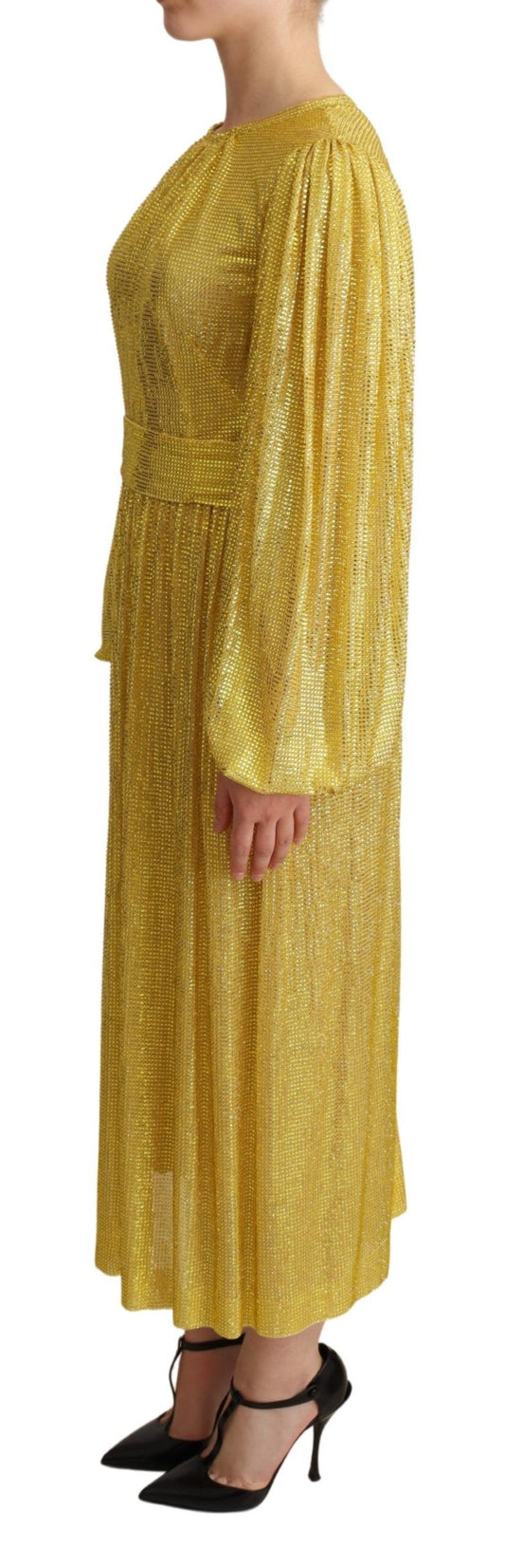 A long yellow dress with crystal mesh detailing and pleats, designed by Dolce & Gabbana