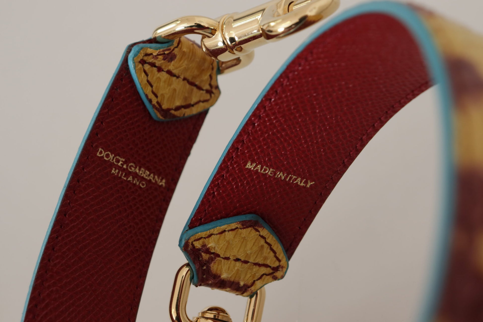 Red dog collar with gold hardware