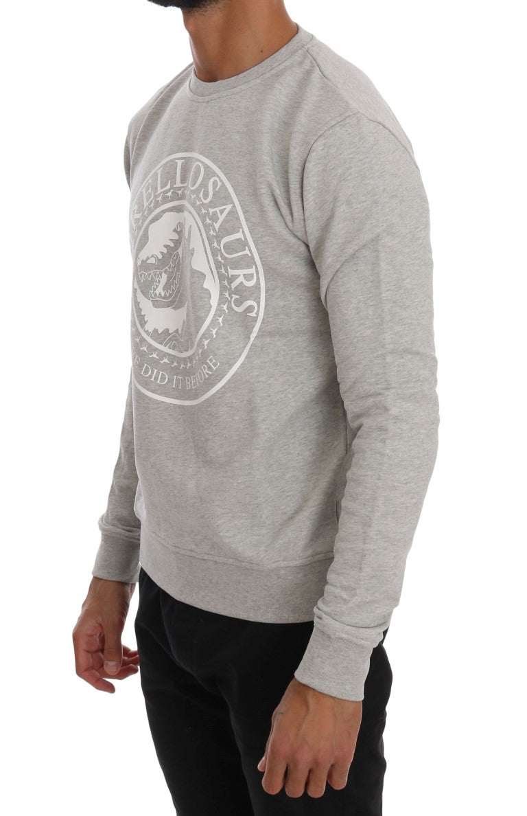 Long sleeve gray sweatshirt with emblem on front