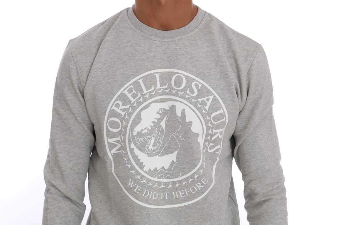 Grey long sleeve shirt with logo on front