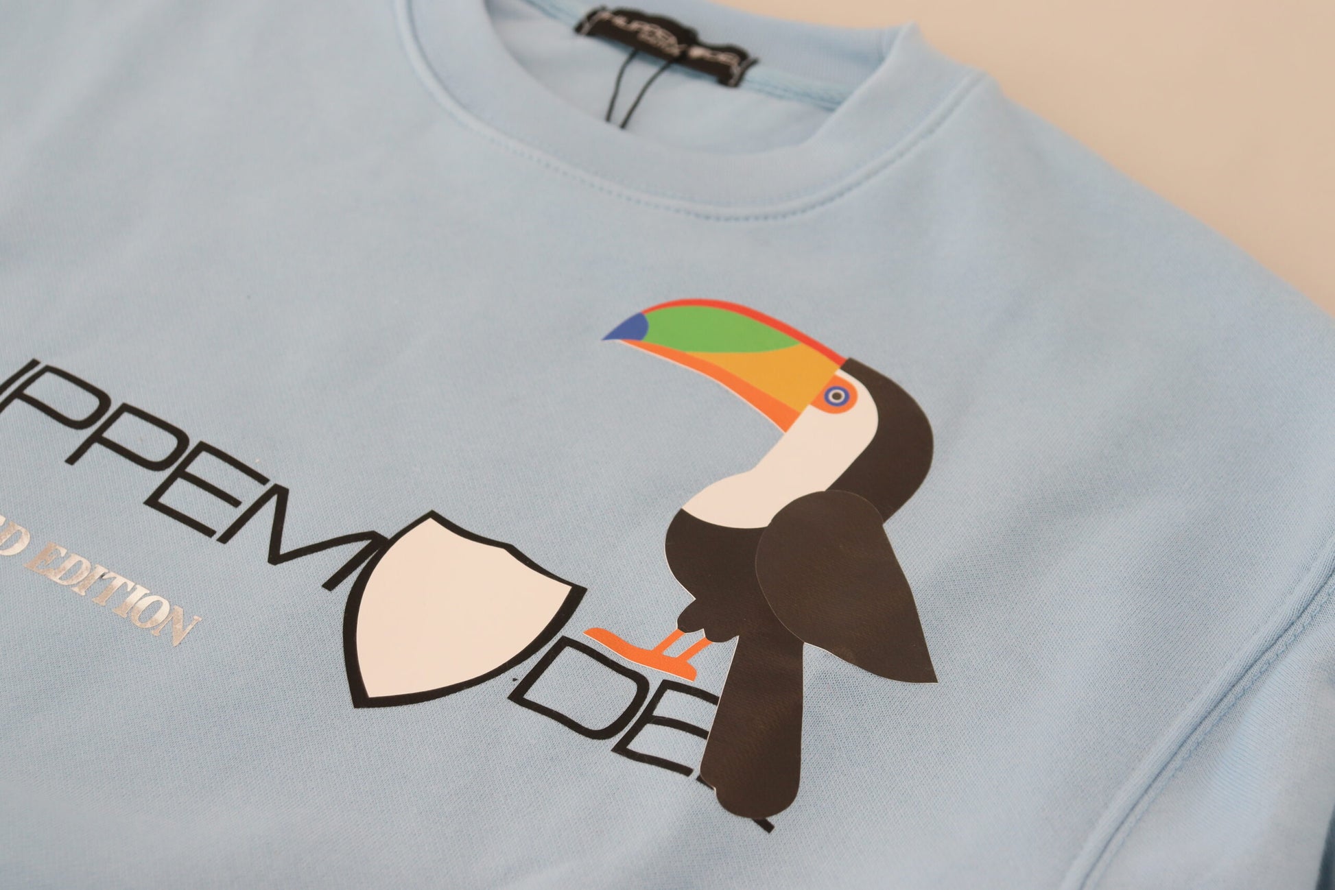 Blue sweatshirt with a cartoon parrot on the front