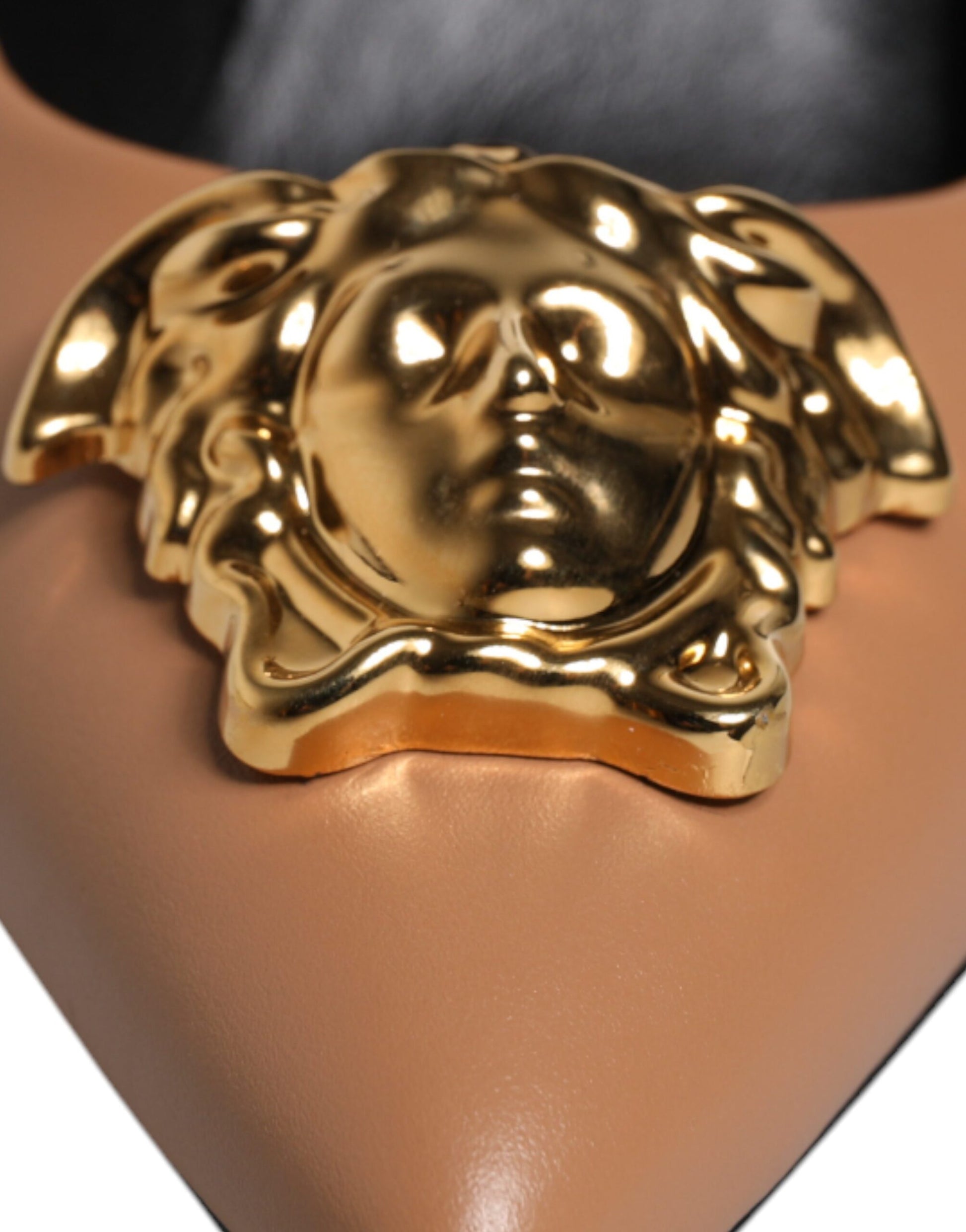 Gold lion head on brown surface